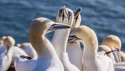 平湖最新公积金提取中介联系微信方法分析(最方便真实的平湖提取公积金的中介是如何操作的方法)